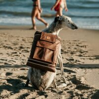 2-in-1 Deckenrucksack City