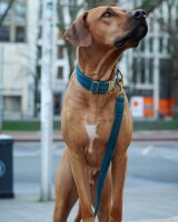 Hundeleine Sametti Petrol