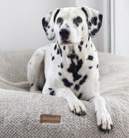 Hundebett Wolke&reg; Dots