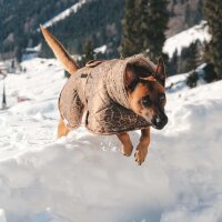 Hundemantel Leo (Gesteppt)